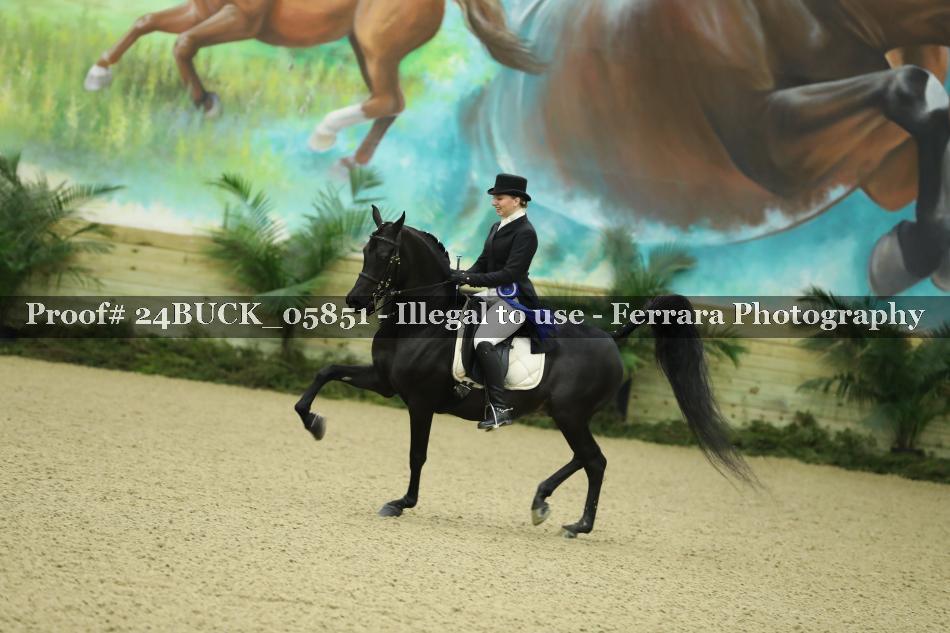 Proof 24BUCK_05851