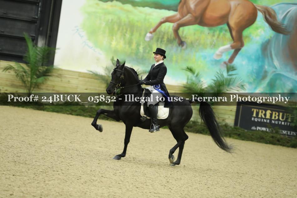 Proof 24BUCK_05852