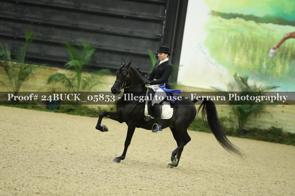 Proof 24BUCK_05853