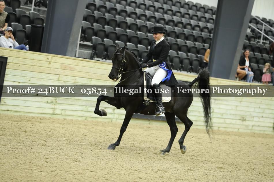 Proof 24BUCK_05854