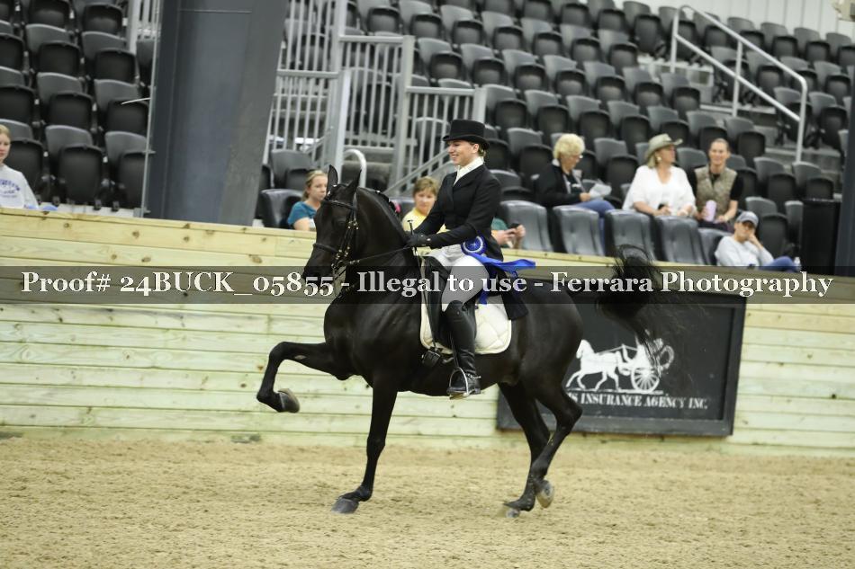 Proof 24BUCK_05855