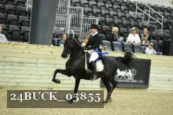 24BUCK_05855 proof