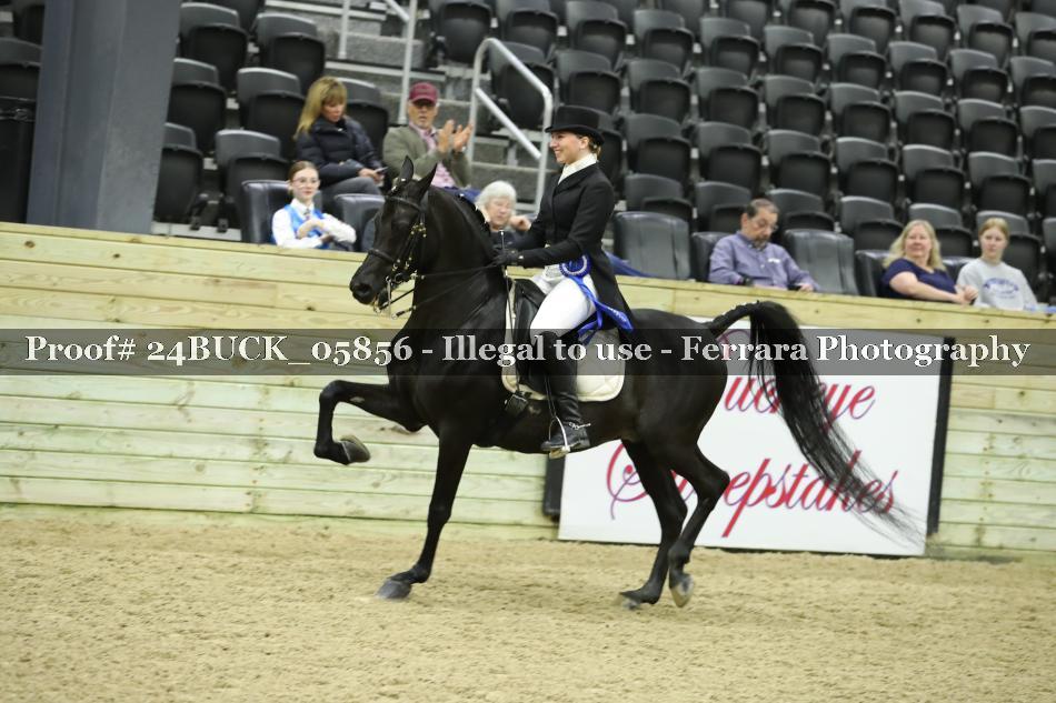 Proof 24BUCK_05856