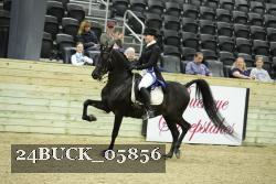 24BUCK_05856 proof