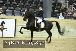 24BUCK_05857 proof