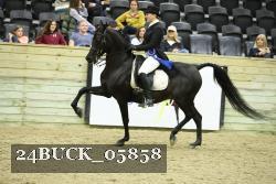 24BUCK_05858 proof