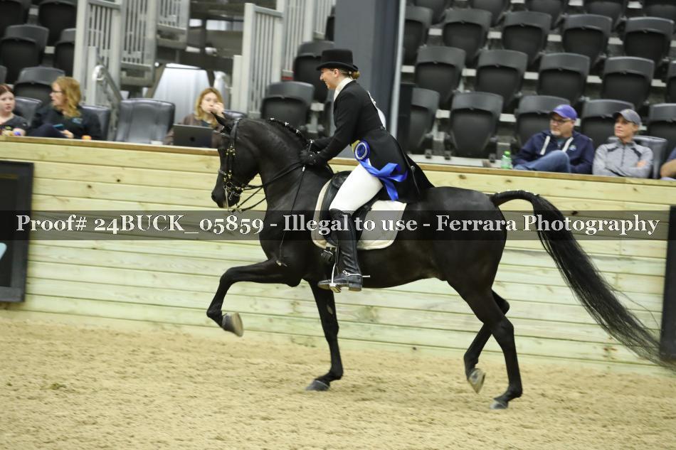 Proof 24BUCK_05859