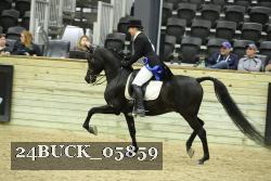 24BUCK_05859 proof