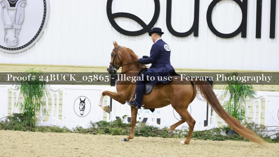 Proof 24BUCK_05865