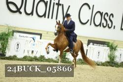24BUCK_05866 proof