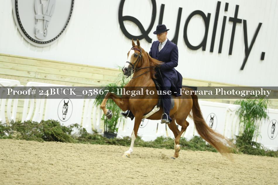 Proof 24BUCK_05867