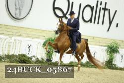 24BUCK_05867 proof