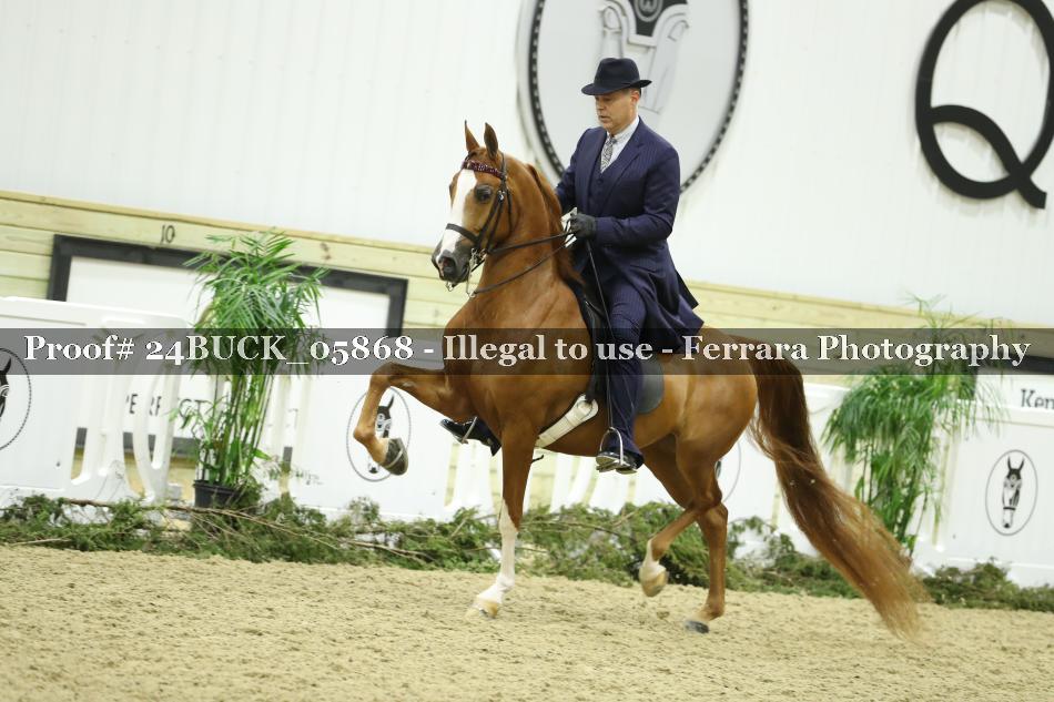Proof 24BUCK_05868