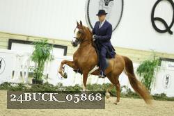 24BUCK_05868 proof