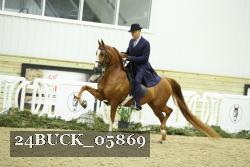 24BUCK_05869 proof