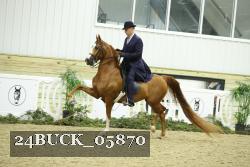 24BUCK_05870 proof