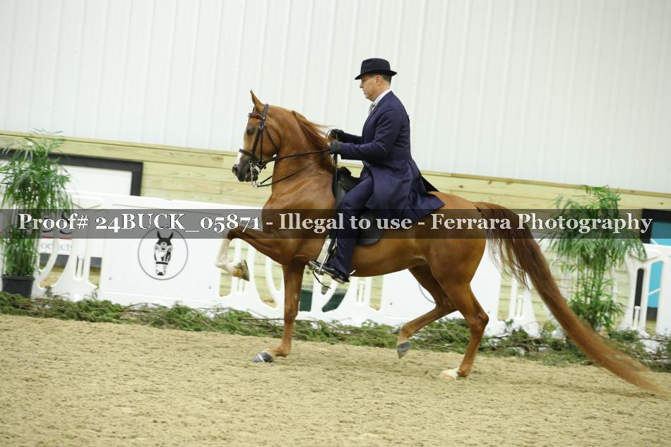 Proof 24BUCK_05871
