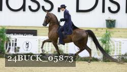 24BUCK_05873 proof