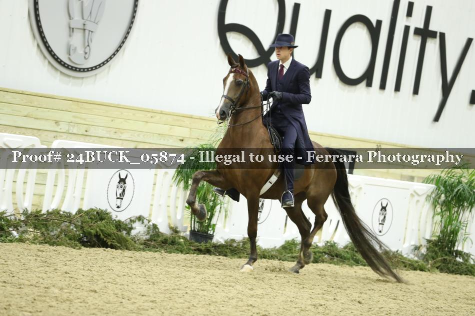 Proof 24BUCK_05874