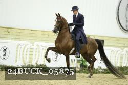 24BUCK_05875 proof