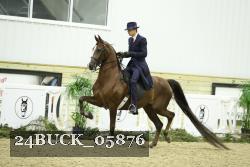 24BUCK_05876 proof