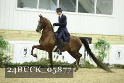24BUCK_05877 proof