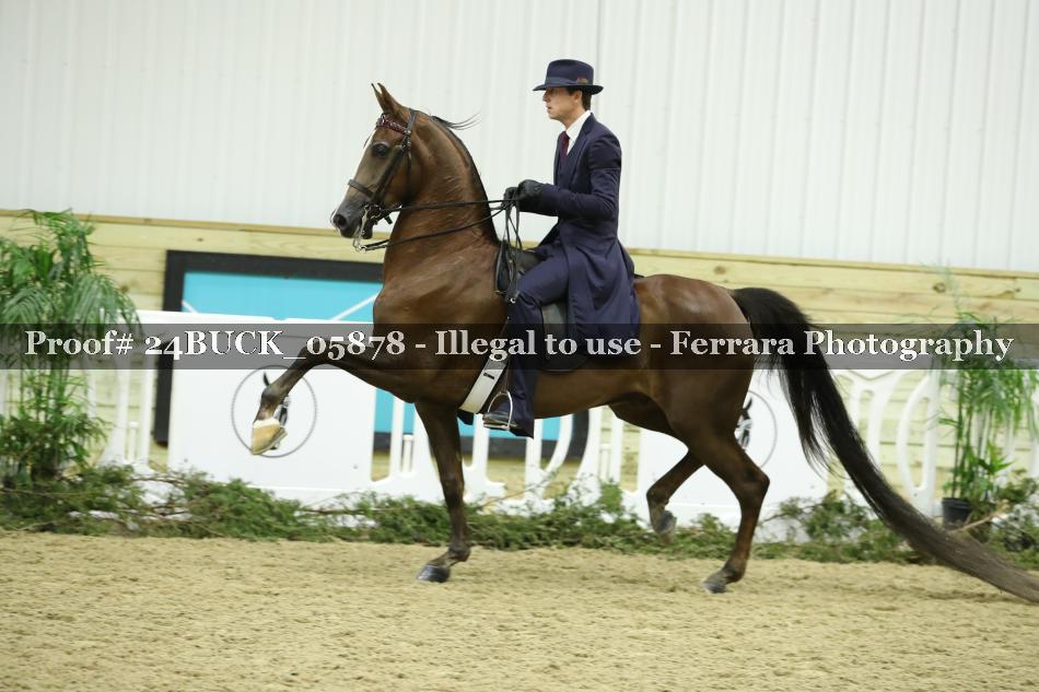 Proof 24BUCK_05878