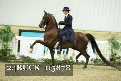 24BUCK_05878 proof