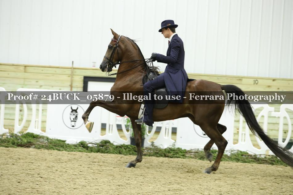 Proof 24BUCK_05879