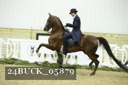 24BUCK_05879 proof