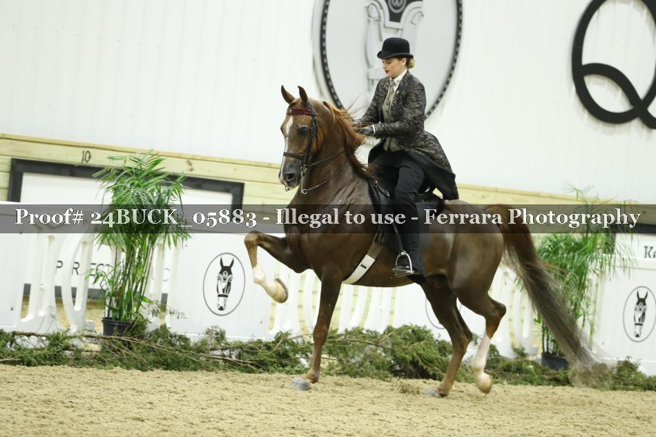 Proof 24BUCK_05883