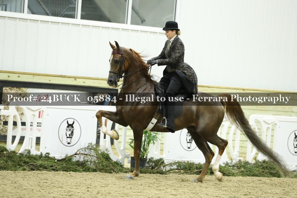 Proof 24BUCK_05884