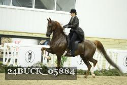 24BUCK_05884 proof