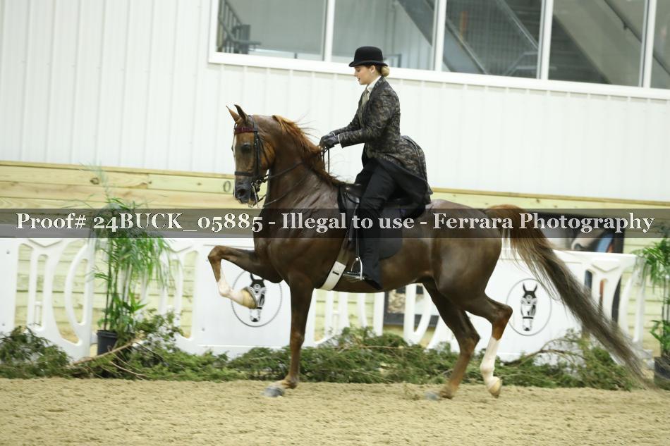 Proof 24BUCK_05885