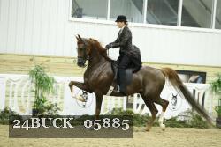 24BUCK_05885 proof