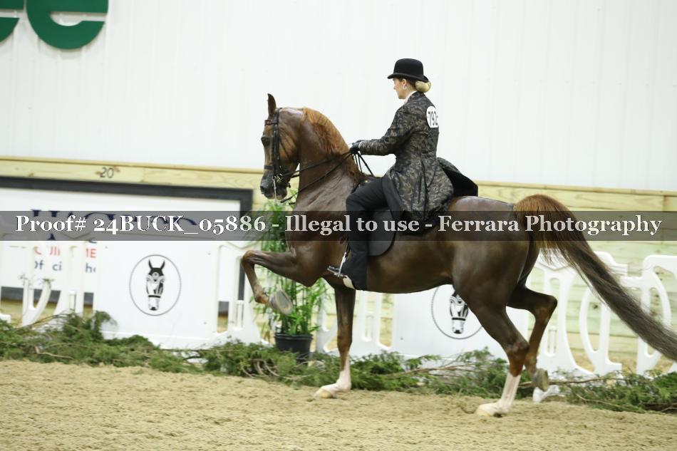 Proof 24BUCK_05886