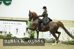 24BUCK_05886 proof