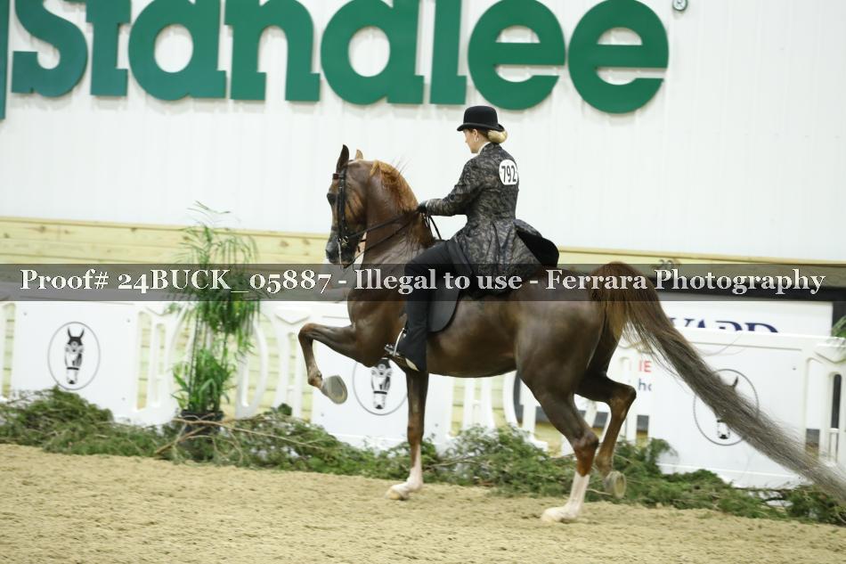 Proof 24BUCK_05887
