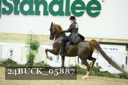 24BUCK_05887 proof