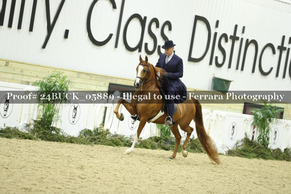 Proof 24BUCK_05889