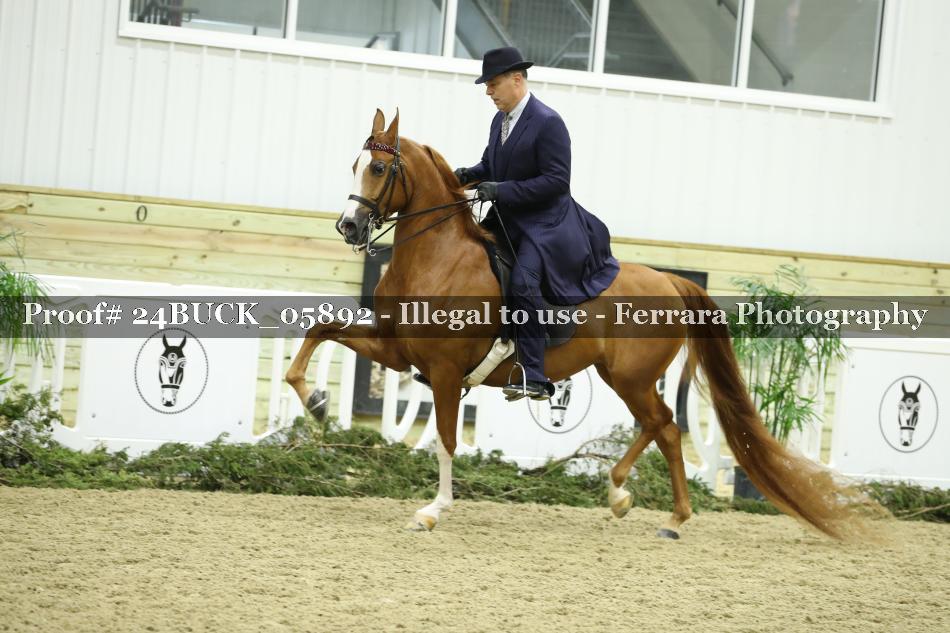 Proof 24BUCK_05892
