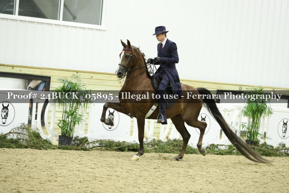Proof 24BUCK_05895