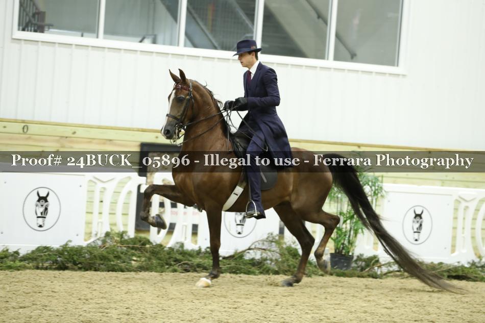 Proof 24BUCK_05896