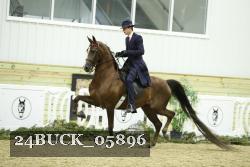 24BUCK_05896 proof