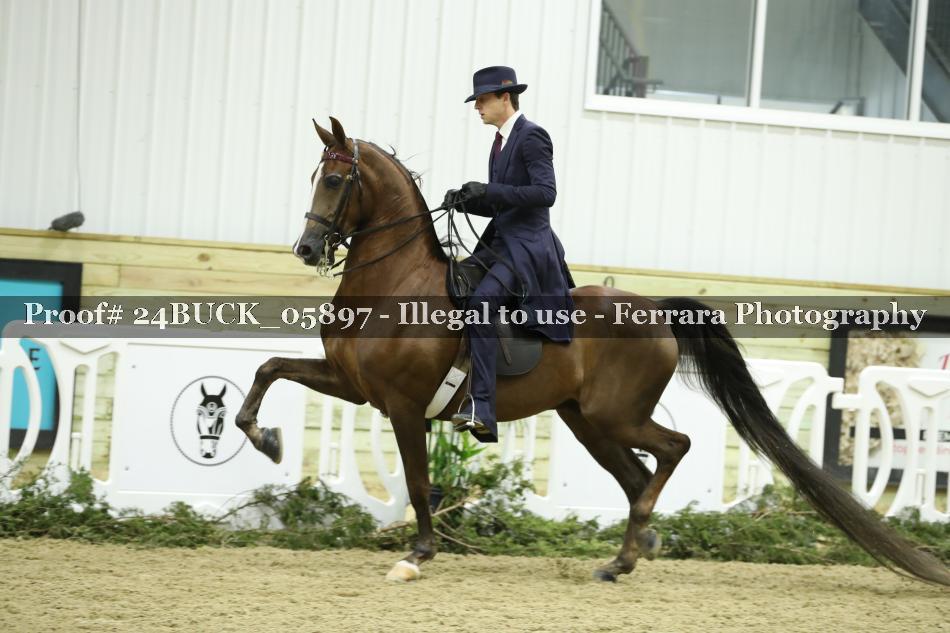 Proof 24BUCK_05897