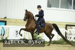 24BUCK_05897 proof