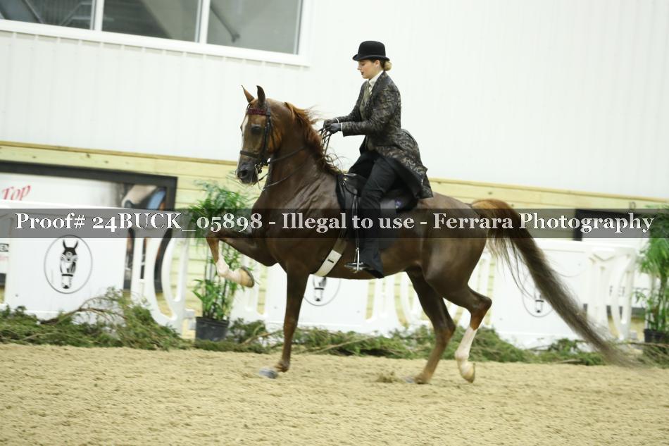 Proof 24BUCK_05898