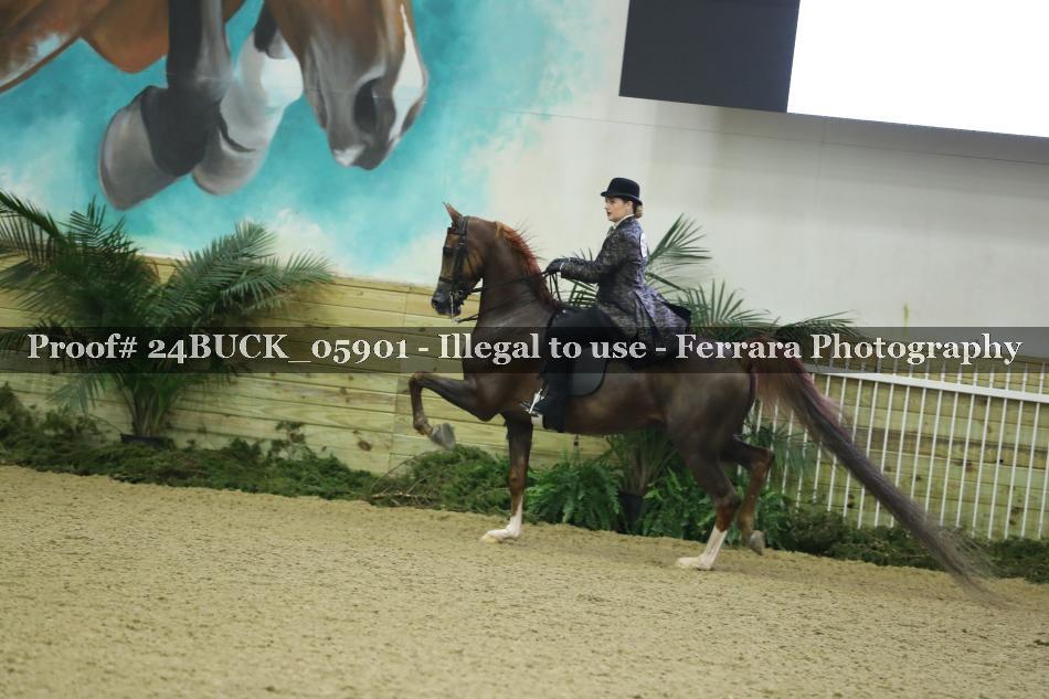 Proof 24BUCK_05901
