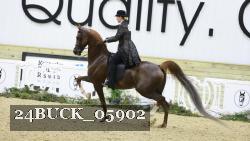 24BUCK_05902 proof