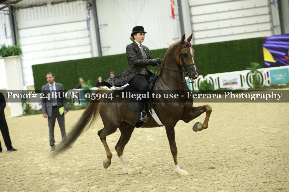Proof 24BUCK_05904